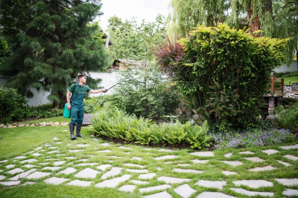 Reliable Whitemarsh Island, GA Pest Control Solutions
