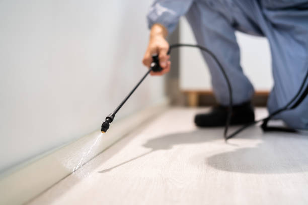 Best Wasp Removal Services  in Whitemarsh Island, GA