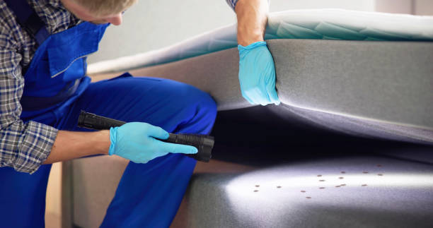 Best Pest Control Near Me  in Whitemarsh Island, GA